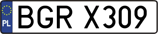 BGRX309