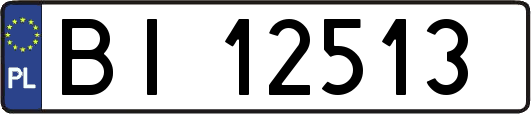 BI12513