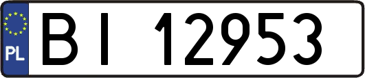 BI12953