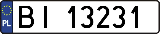BI13231