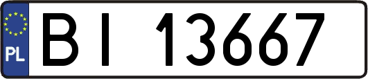 BI13667