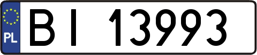 BI13993