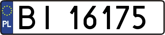 BI16175