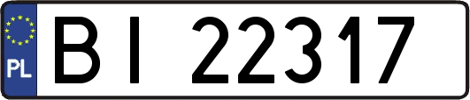 BI22317