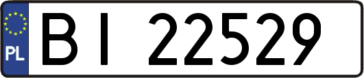 BI22529