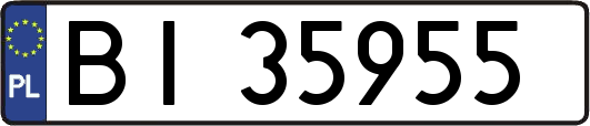 BI35955