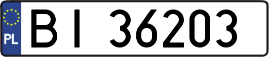 BI36203