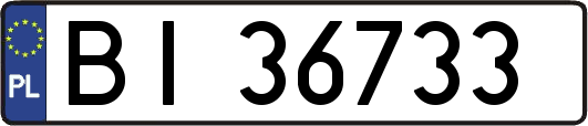 BI36733