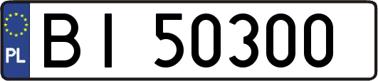 BI50300