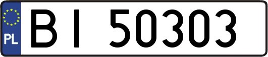 BI50303
