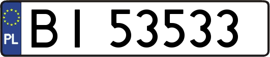 BI53533