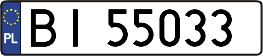 BI55033