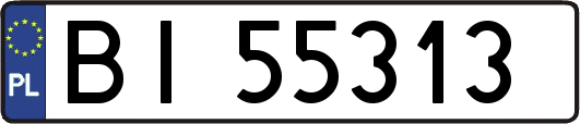 BI55313