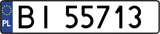 BI55713