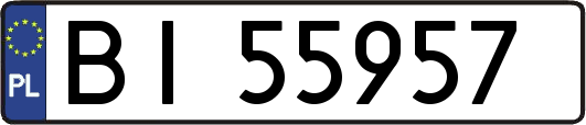 BI55957