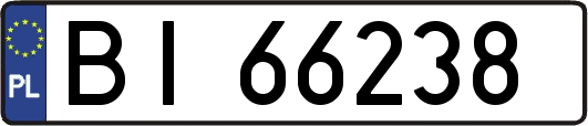 BI66238