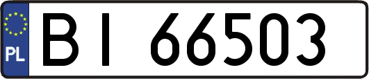 BI66503