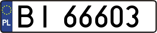 BI66603