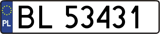 BL53431