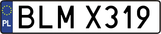BLMX319