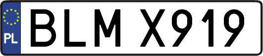 BLMX919