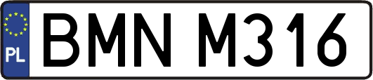 BMNM316