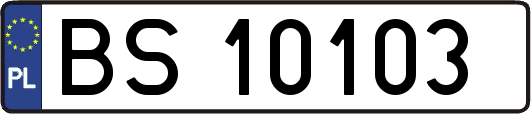 BS10103