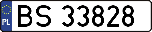 BS33828