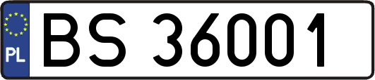 BS36001
