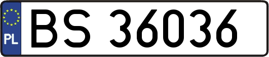 BS36036