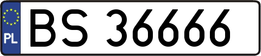 BS36666