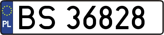 BS36828