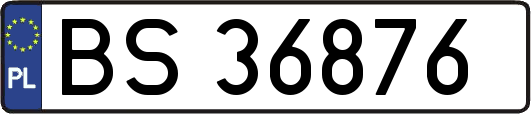 BS36876