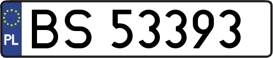 BS53393