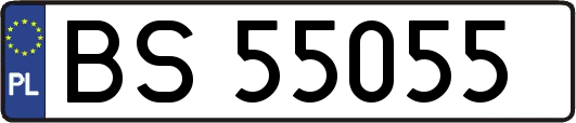 BS55055