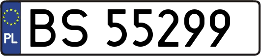BS55299
