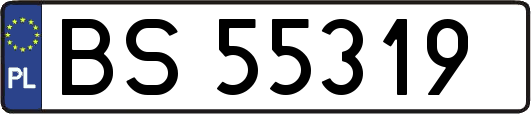 BS55319