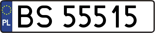 BS55515