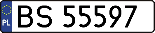 BS55597