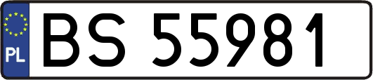 BS55981