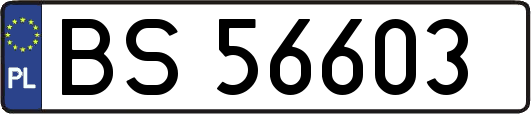 BS56603