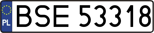 BSE53318