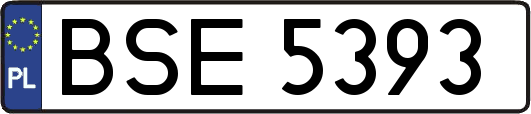 BSE5393
