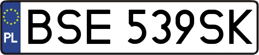 BSE539SK