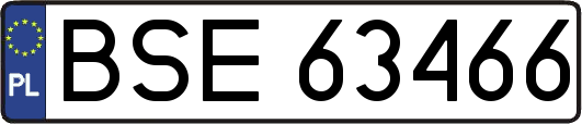 BSE63466