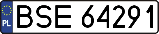 BSE64291