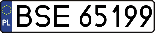 BSE65199
