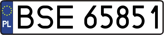 BSE65851