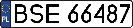 BSE66487