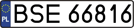 BSE66816